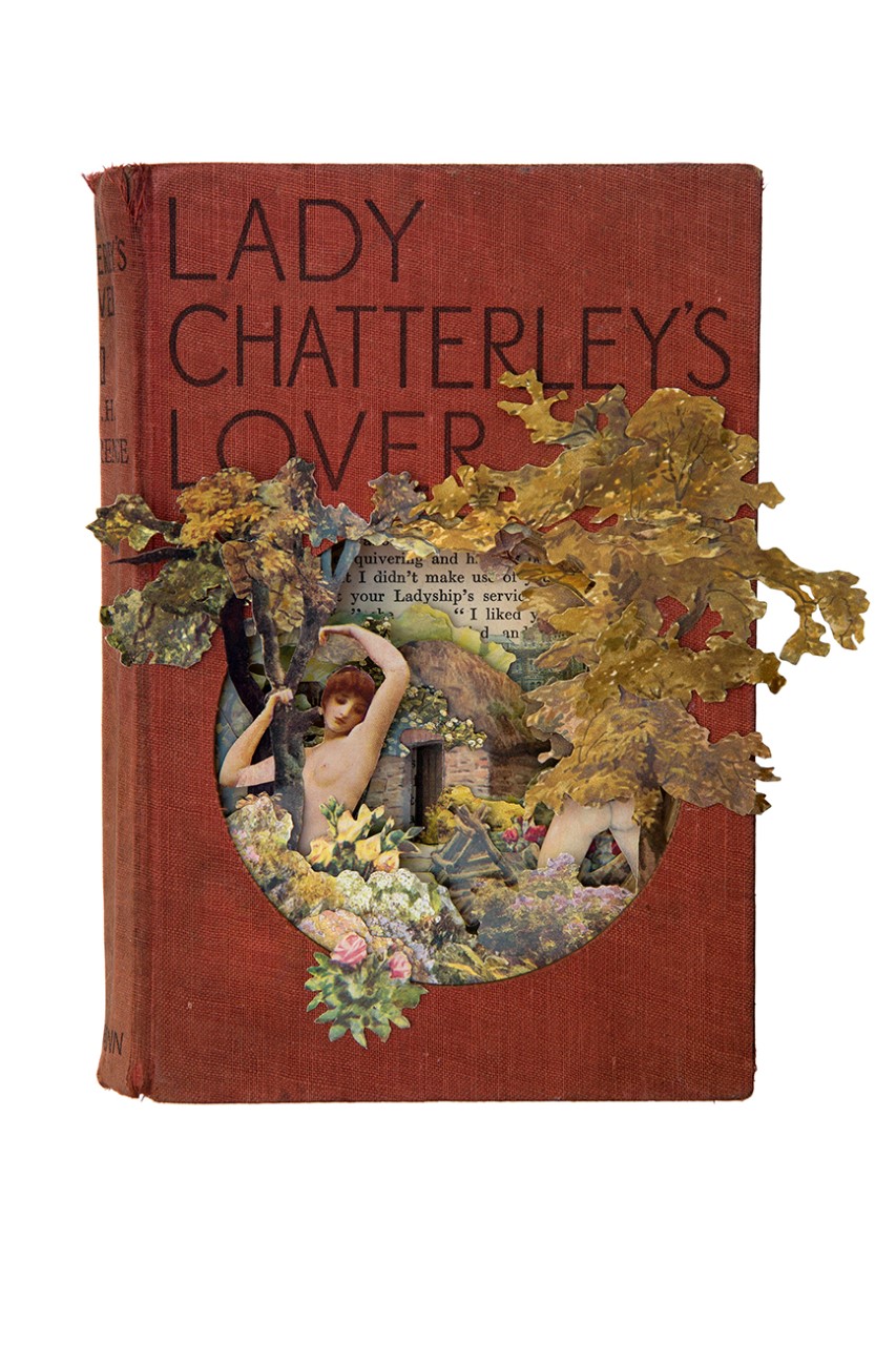 lady chatterley's lover book